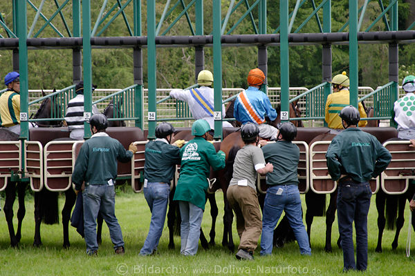 Startboxen Angst der Rennpferde ntige Nachhilfe vor jedem Start zum Rennen
