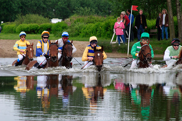 Wasserberquerung Pferde Jockeys Seejagdrennen im Wasserbecken Bild