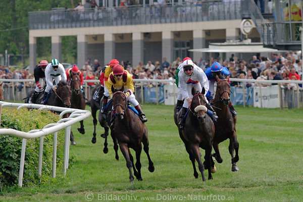 Galoppbild in Kurve Eldorado Directa Stute mit Jiri Palik links vorn rechts Big Brody