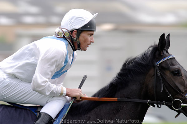 Adrie de Vries Galopp-Portrait im Sattel Bise a go go Stute Ritt Sportfotografie