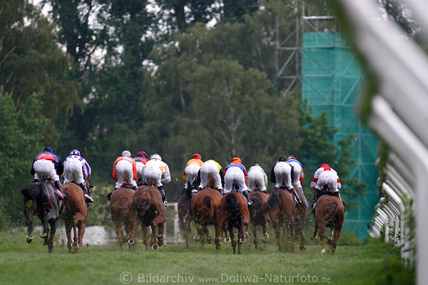 Pferdehufe Galopp rennende Hintern Bild fliegendes Gras Zaun entlang