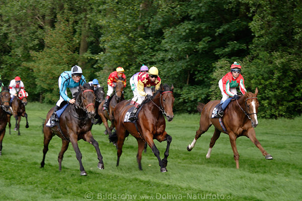 Galopp Pferderennen Diana Meeting photo Preis der Glcksspirale auf Auenbahn