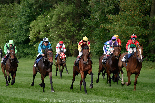 Stutengalopp Foto Jockeys Pferderennen Preis der Glcksspirale auf Auenbahn