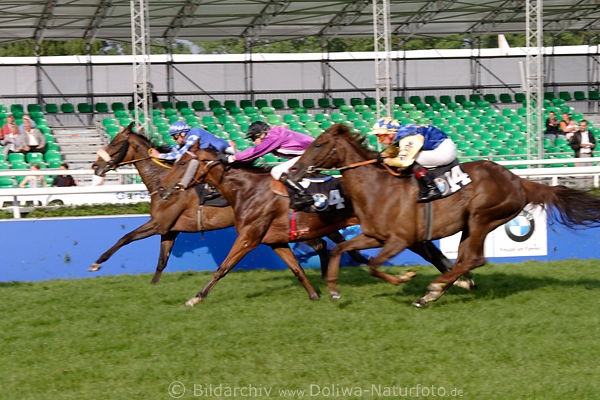 Galoppsprint Mandola M.O`Reilly fhrt vor Tiger Valley mit Frau K.D. Werning