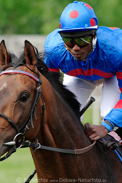 Star Jockey Eduardo Pedroza auf Salon Turtle im Rittportrait