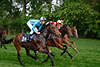 Pferde-Dreier Kopf an Kopf Galopprennen Foto ganz nah vorn Adrie de Vries