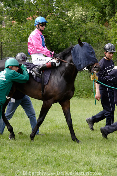 Wellango mit Kopftuch Angst vor Startboxen der Rennbahn