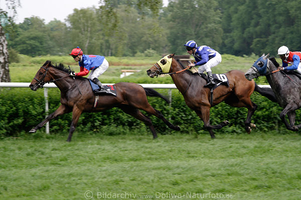 Andreas Suborics fhrt Fairy Ecstasy Finischgerade 4. Rennen Tom Tailor-Trophy