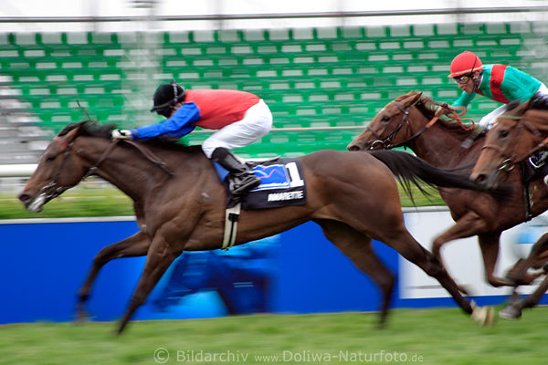 Suborics Amarette Finish-Foto Rennbild um Titel im Stuten Derby Siegerritt 100 Meter vorm Ziel