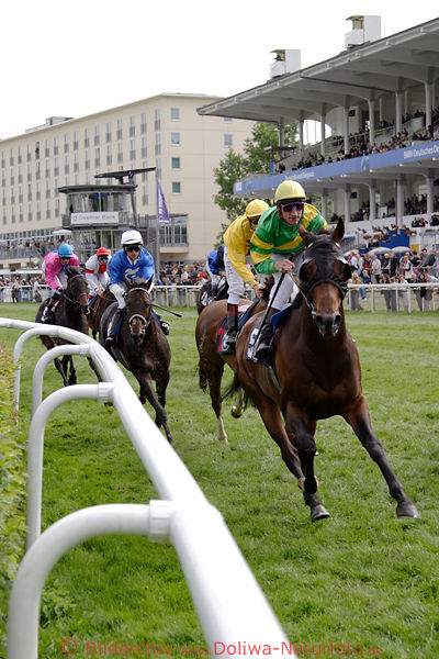 Chippolino (FR)  Kurve Endspurt Rennfoto an Bande Pferde Jockey A. Starke vorn