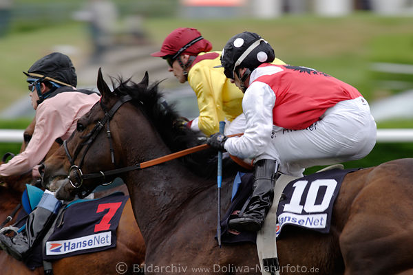 Nahsprint Stuten-Jockeys Galopprennen schwebend ber Sattelsitz