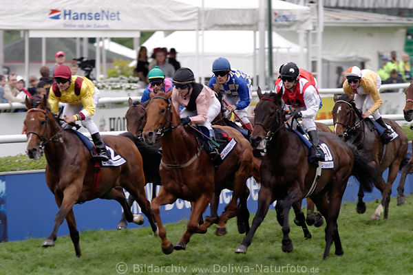Galopp dichtes Stuten-Rennen Pferde mit Jockey Foto vorn Los Sainos