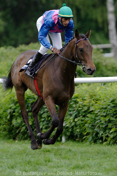 Lautaro Stute mit Jockey Silverio Galopprennen