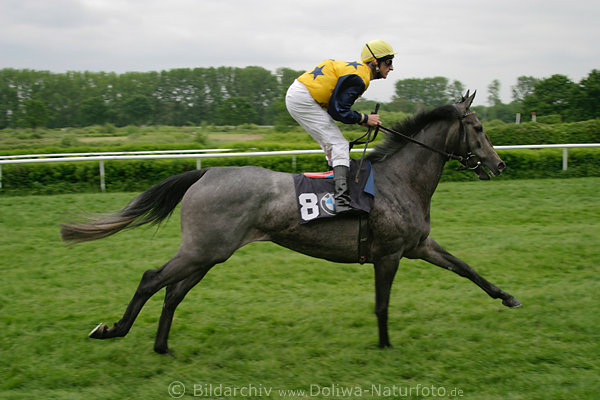 Jockey Andrasch Starke Pferd Lunamixa Trainigsgalopp vor Darboven-Rennen