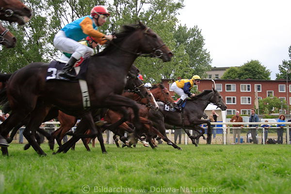 Mongil W. auf Stephenson (Fr.) im Vordergrund nach Start zum J.J. Darboven-Rennen