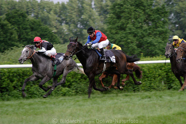 Pferde Galoppfoto Wasterno J. Bojko in Fhrung knapp vor Iocaste A.Suborics auf Grnrennbahn