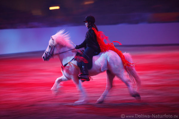 Islandpferd GalaShow Galopp Reiterknste Amazone bunte Farben