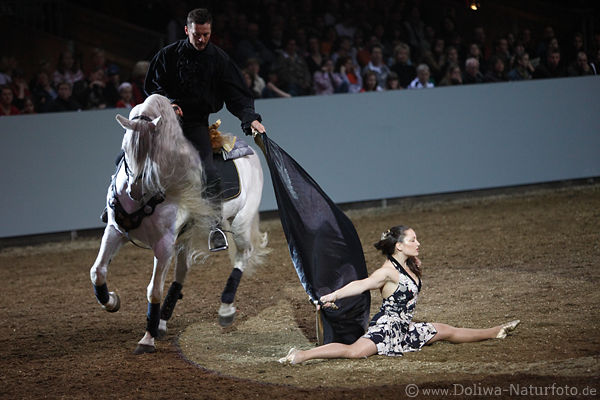 Pferdeshow Tnzerin Spagat Akrobatik