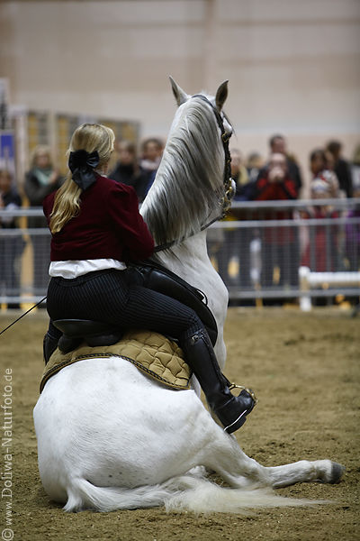 Pferd sitzend auf dem Hintern mit Frau im Sattel
