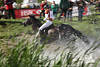 002009_Gelnderitt spannend in nassen Wasserspritzer Bewegung Foto Reiterin Ingrid Klimke auf Pferd FRH Butts Abraxxas