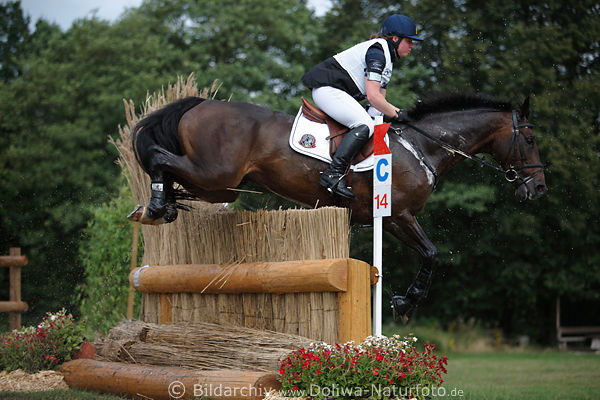 Pferd Hindernisflug Quiller du Marais mit Lambermont aus Belgien