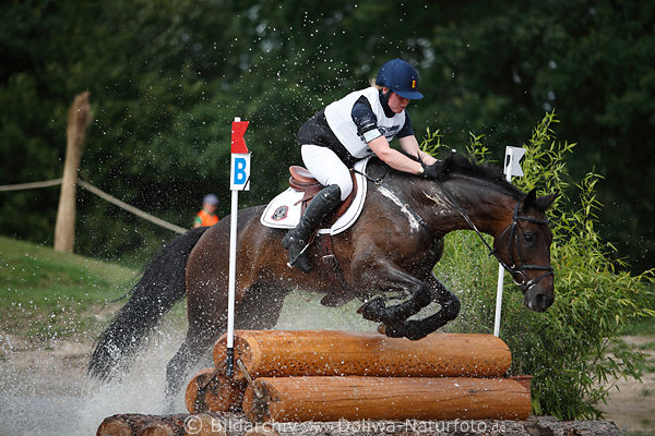 Pferd Hindernissprung Quiller du Marais mit Lambermont Pauline