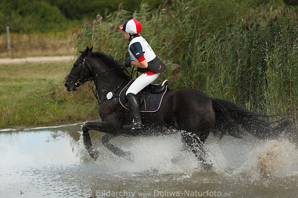 Franziska Keinki zu Spring Lilly Wasserritt am Schilf