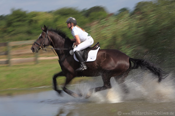 Lara Bergmann auf Late-ness Wasserritt Gelndereiten