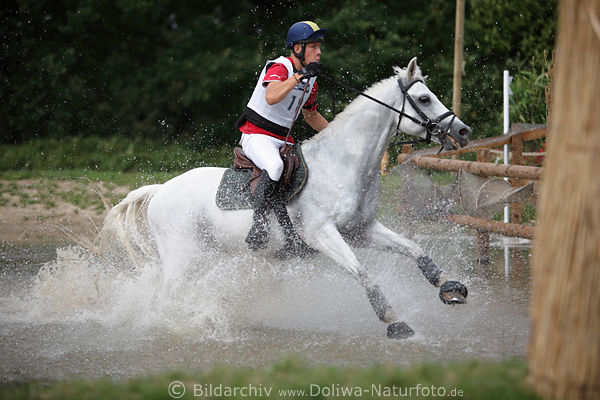 Victor Mazurov Weipferd Gelnderitt durch Wasser
