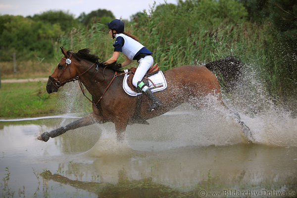Pferd Wasserritt am Schilf mit Valentine Gabriel