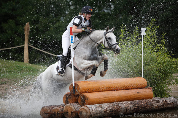 Pferd Hindernissprung Chippie den Tip Amazone Cartier de Marchienne Marie