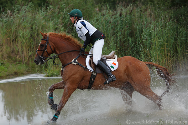 Pferd spritziges WasserRitt Young Melanie Irland Reiterin
