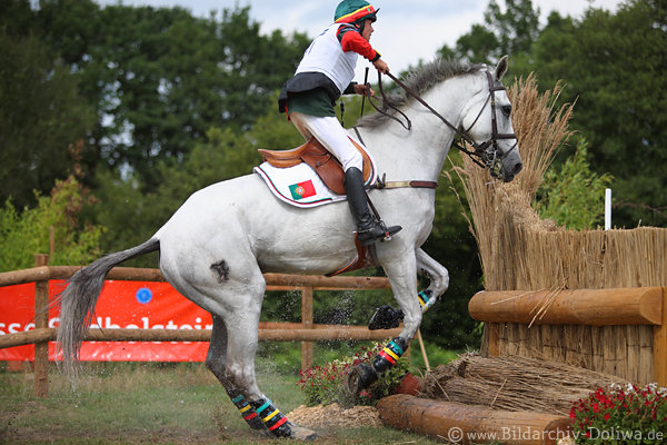 Pferd Absprung vor Hindernis Gelnde-Hrde Aktionbild Eventing Vielseitigkeitsreiter Foto