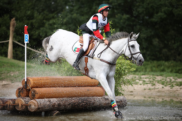 Stilwell Weisspferd Super de Foja Wassersprung Hindernis Gelnderitt Aktion