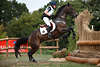 001640_ Quiller du Marais Pferd hochsteigend vor Hindernis stehend Sportfoto mit Lambermont Pauline aus Belgien