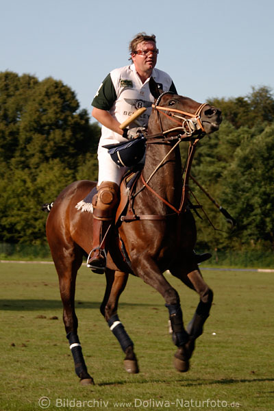 wd_4polo1180