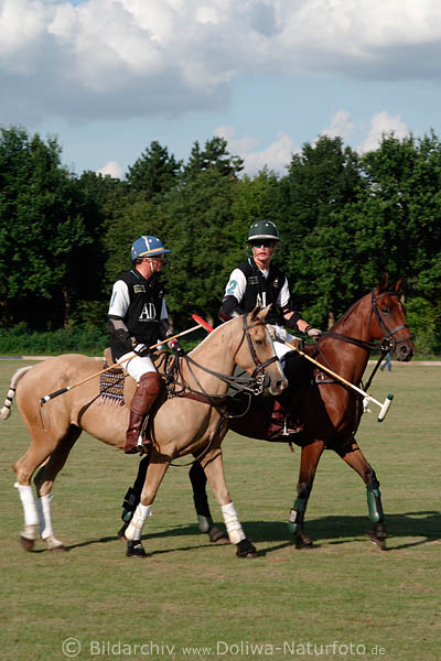 wd_4polo141