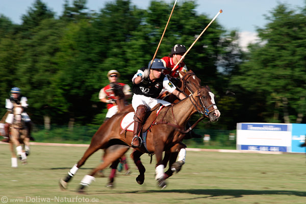 wd_4polo144