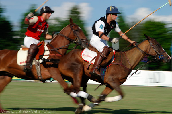 wd_4polo145
