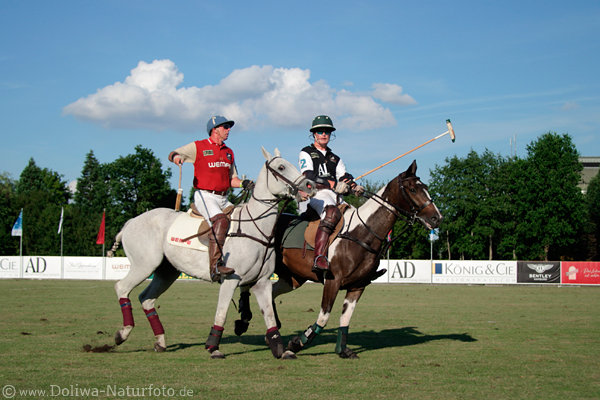 wd_4polo178