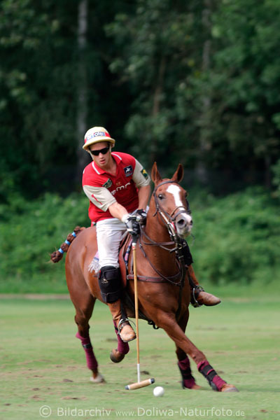 wd_4polo248