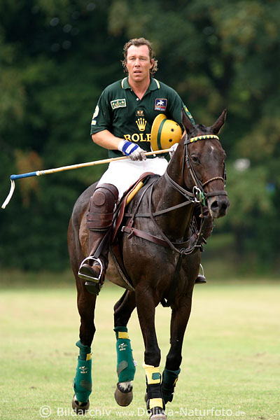 wd_4polo377
