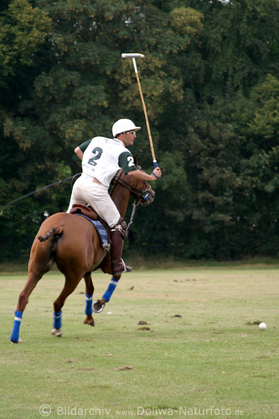 wd_4polo402
