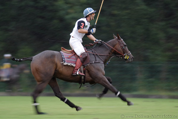 wd_4polo507