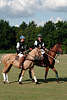 wd_4polo141