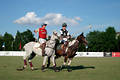 wd_4polo178