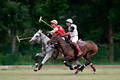 wd_4polo206