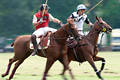 wd_4polo235