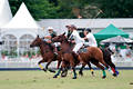 wd_4polo316