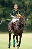 wd_4polo377